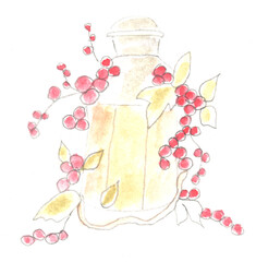 Lantern with vine and grapes. Watercolor illustration, hand drawn modern freehand new