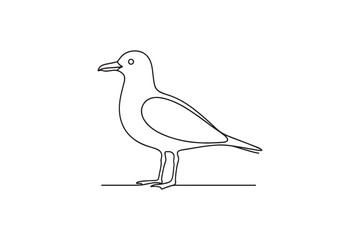 Obraz premium Seagull bird continuous one line drawing minimalism design