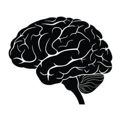 : Brain Illustrations, Human Brain Silhouettes, Anatomical Brain Icons