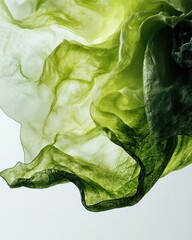 Close-up of translucent, flowing green leafy vegetable, exhibiting varying shades and textures, against a bright background