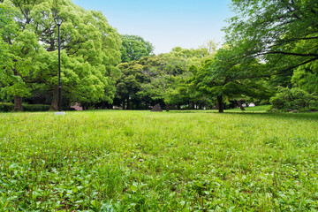 日本の公園　