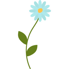 Hand Drawn Daisy Flower