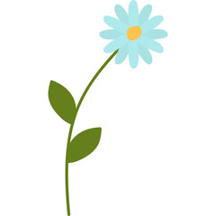 Hand Drawn Daisy Flower