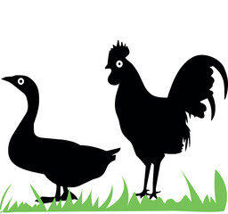 Rooster and duck.silhouette vector Illustrator
