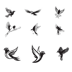  Cute Flying Birds Vector set 