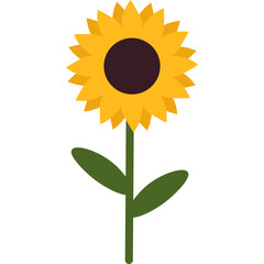 Handdrawn Sunflower Decoration