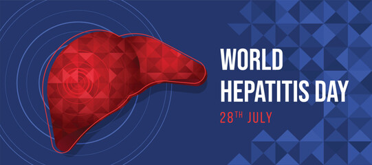 World Hepatitis Day - Red Liver with low poly texture and line circle layer in liver on blue texture background vector design
