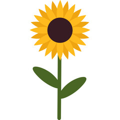 Handdrawn Sunflower Decoration