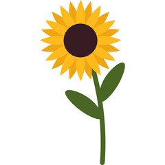 Handdrawn Sunflower Decoration