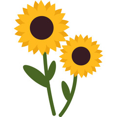 Handdrawn Sunflower Decoration