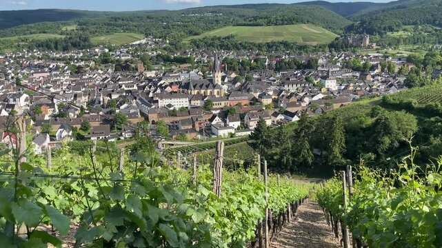 Blick &uuml;ber die Weinberge ins Ahrtal