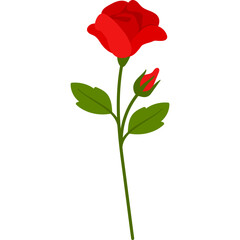Obraz premium Hand Drawn Rose Flower