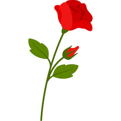 Hand Drawn Rose Flower