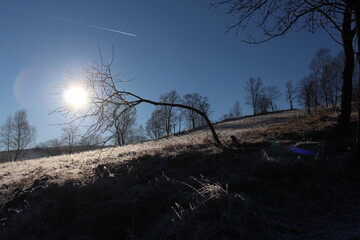 Winter sunrise above a grassy field with hoarfrost