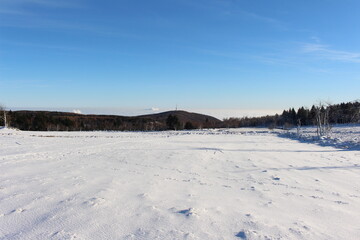 Calm and silent snow fild with a forest behind
