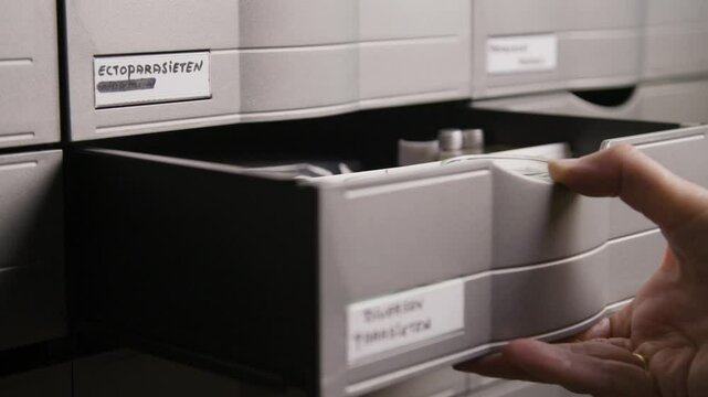 A hand opens a labeled drawer in a medical archive marked for ectoparasites and various parasites, revealing organized storage.