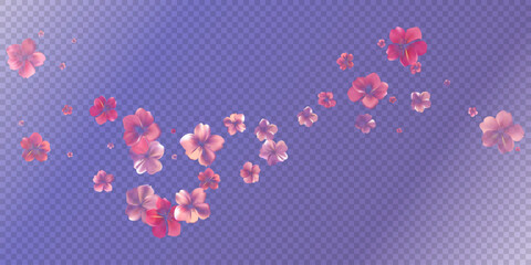 Aroma Cherry blossoms flow. Delicate transparent flowers bg.