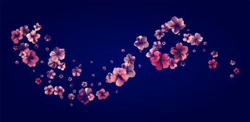 Aroma Cherry blossoms flow. Delicate transparent flowers bg.