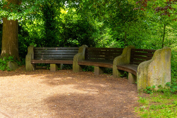 Curved wooden benches under vibrant green foliage invite peaceful moments in a quiet park setting