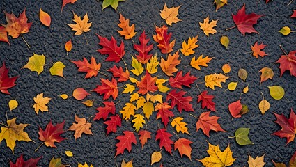 Autumn leaves arranged in a circular pattern on a dark textured surface, vibrant colors
