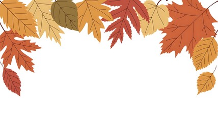 Colorful autumn leaves isolated on white background creating a festive seasonal border