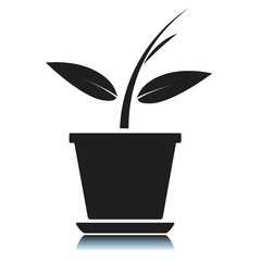 Stylized Potted Plant Silhouette with Two Leaves and Two Shoots