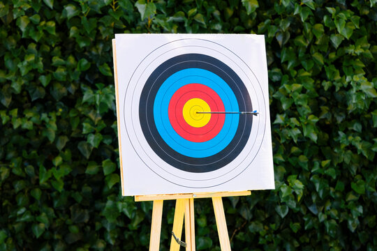 Arrow in bull's eye in front of plants