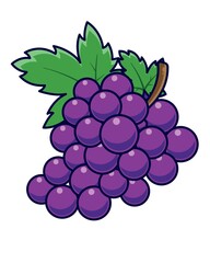Cluster of Purple Grapes with Leaves on a White Background