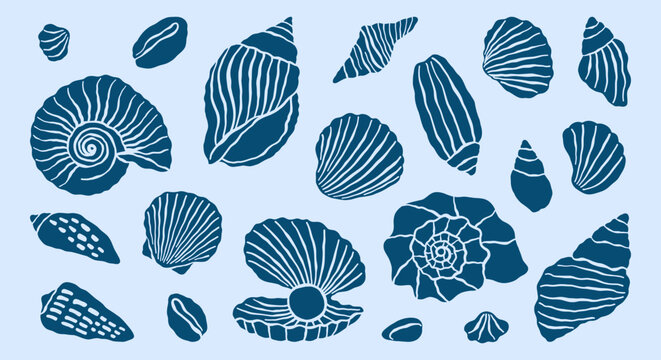 Underwater ocean shells simple minimalist retro illustrations set. Seashells vector doodles