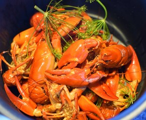 A pot of crayfish boiled in beer with dill at a crayfish festival in Sweden.
