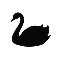 black swan vector