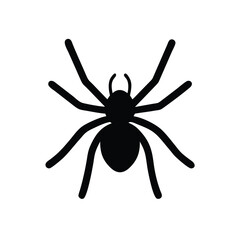 Spider silhouette
