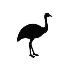 Emu silhouette
