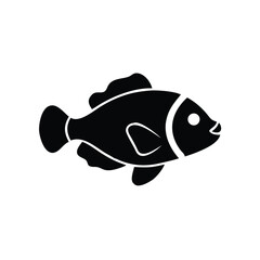 fish on a white background