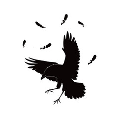  crows fly in the sky