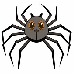 spider on a white background