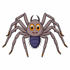 spider on a white background