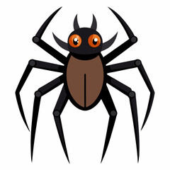 spider on a white background