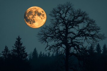 Fototapeta premium Glowing full moon illuminates the night sky over a silhouette of trees in a tranquil landscape