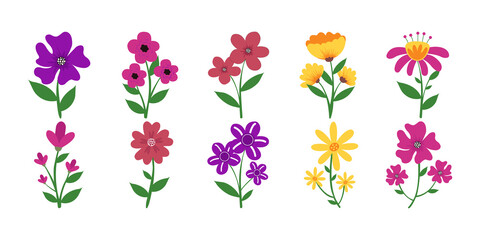 Flower Illustration