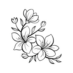 Elegant floral vector illustration of blooming flowers with leaves in a detailed line art style