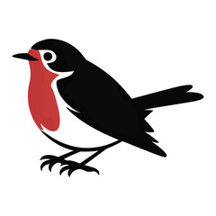 Fototapeta premium Robin with Red Chest Perched