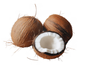 Egret bird flying in the air with open wingspan png white egret png flying bird png nature wildlife png graceful bird png isolated egret png transparent background image