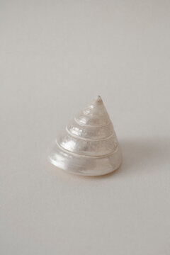 Shell