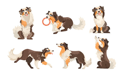 Delightful and Playful Collies Adorable Illustrated Poses of Charming Dog Characters