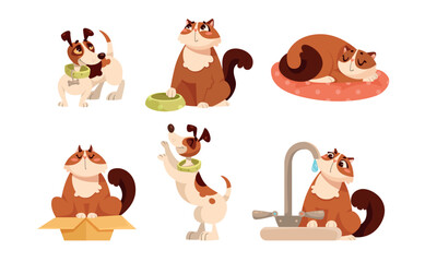 Delightful and playful illustrations of cats and dogs showcasing various adorable poses and scenes