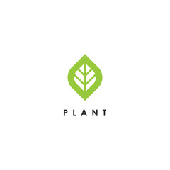 Fototapeta premium Plant logo design template