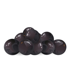 Jaboticaba fruit, exotic brazilian berries. Perfect for food packaging, healthy eating designs, recipe books, botanical projects, and tropical fruit collections