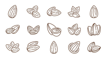 Collection of Almond Nut Illustrations Line Art Icons and Designs