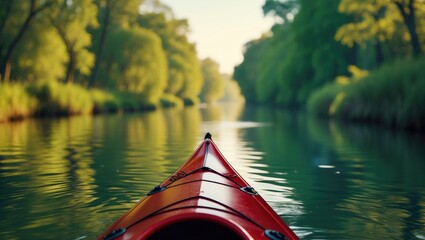 Obraz premium Kayaking in the forest river near trees on a sunny summer day, capturing active lifestyle and recreation at Widawka
